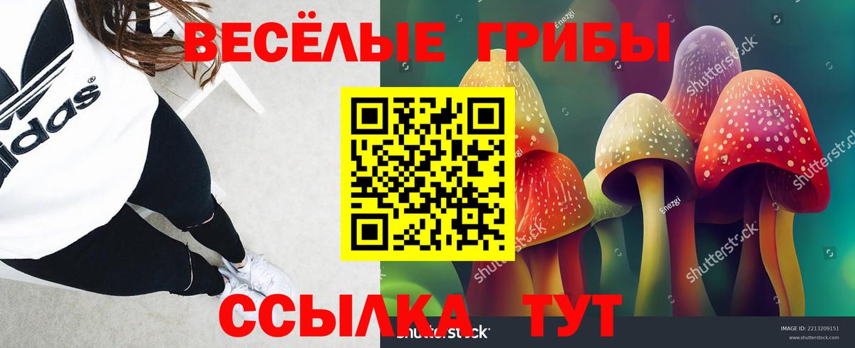 Михайловка  Галлюциногенные грибы MAGIC MUSHROOMS  Вход с VPN 